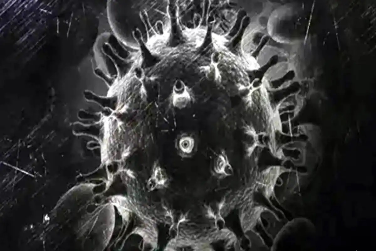 Грибы заболевания вызываемые вирусом